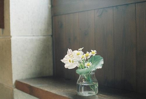 易经最经典十句话