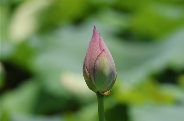 诗情画意的情侣网名(优选394个)
