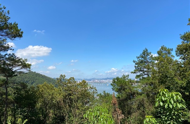 简单又大方的微信名(优选698个)