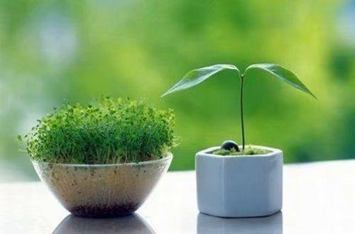 甜蜜表白句子大全