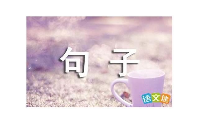 土味情话情侣聊天（追女生表白幽默的句子）