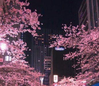 ​日语个性签名唯美句子带翻译