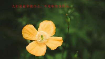 ​精辟人生感悟句子简短8个字