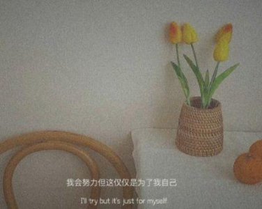 ​高中优美语句