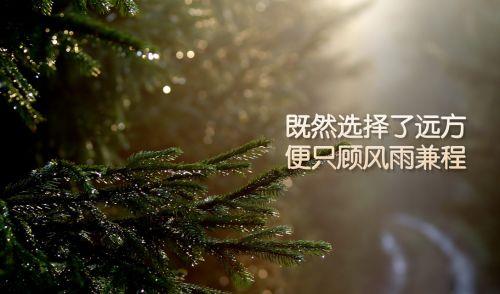 描写夏天夜晚美景的优美句子
