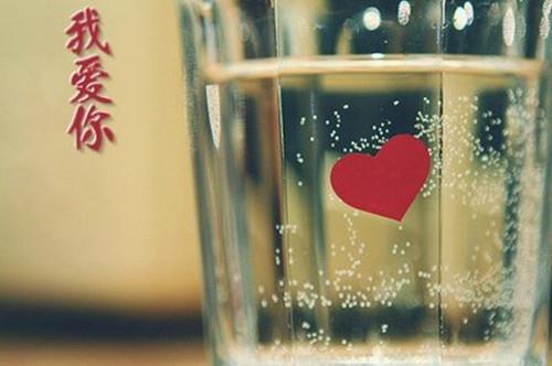 形容真诚有哲理的句子28条