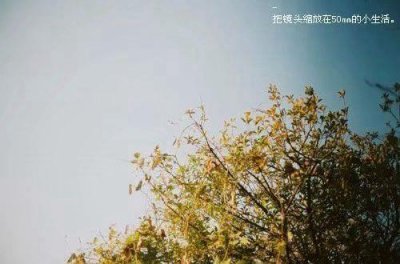 ​一句话返程心情的句子 朋友圈旅游结束心情短语汇总57句