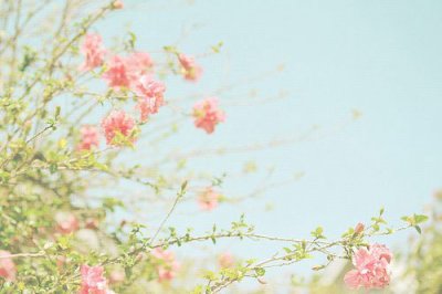 ​水浒传歇后语摘抄100句