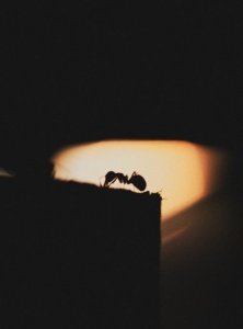 ​没钱的说说伤感句子（感慨的句子说说心情）