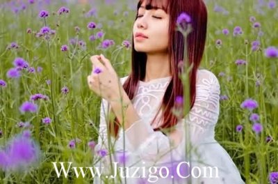 ​感谢支持与信任的话语(精选23句)