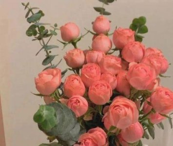 ​人生如梦梦如人生 简单哲理励志句子(精选32句)