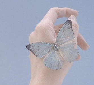 ​伤感凄美情感个性签名