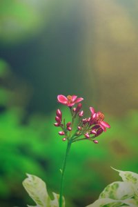 ​关于友情的句子唯美（关于朋友的句子伤感）