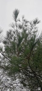 幽默笑话搞笑段子100篇