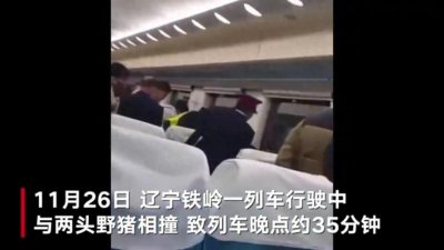 ​如何防范高铁与野猪相撞？