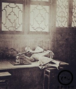​直击清朝吸食鸦片的烟鬼：典妻卖女，瘦得皮包骨，图八图九是夫妻