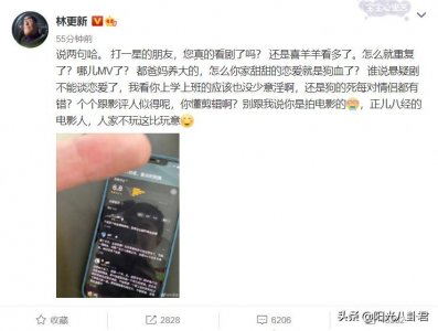 ​林更新为新剧反黑，朝网友竖中指飚脏话，评分暴跌后紧急删文道歉