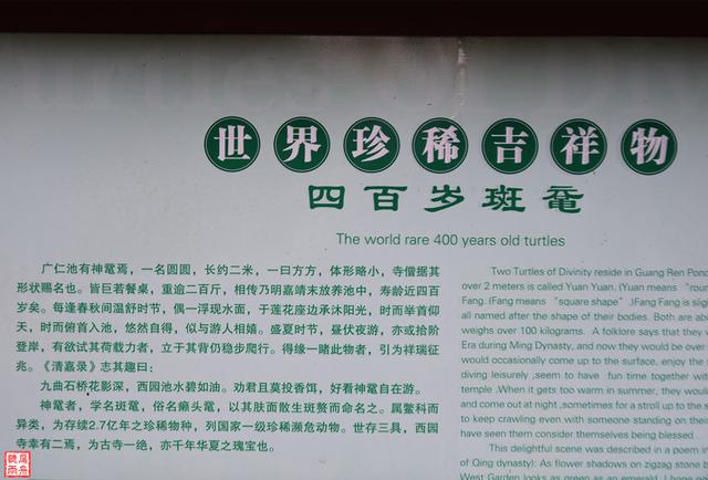 苏州旅游攻略一日游详细（时间太少怎么办）(20)