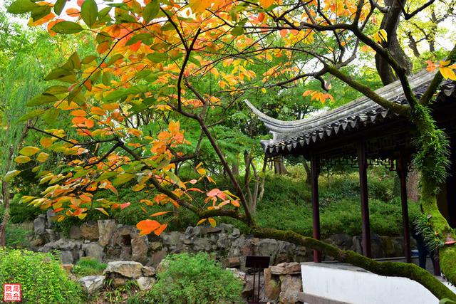 苏州旅游攻略一日游详细（时间太少怎么办）(9)