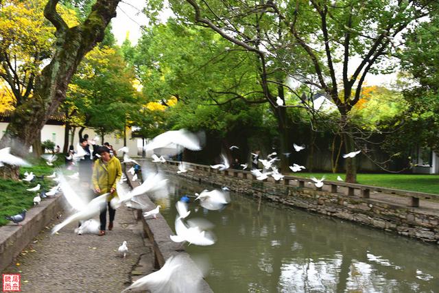 苏州旅游攻略一日游详细（时间太少怎么办）(16)