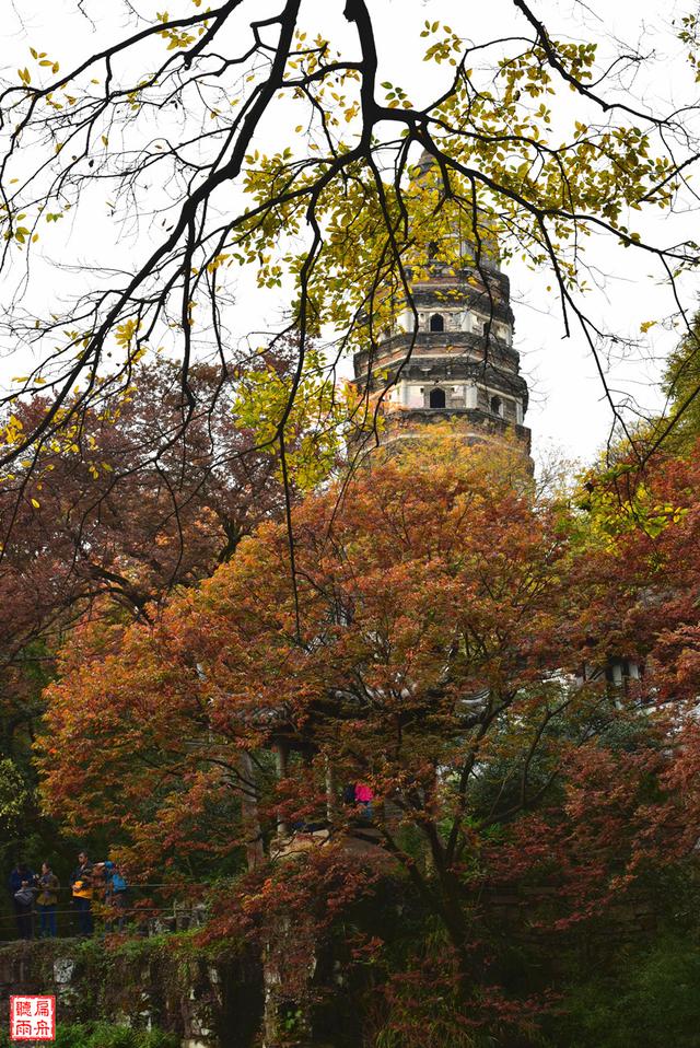 苏州旅游攻略一日游详细（时间太少怎么办）(52)
