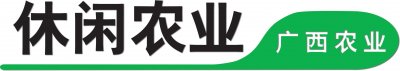 ​广西河池宜州区：稔子花开烂漫时，旅人流连忘返中