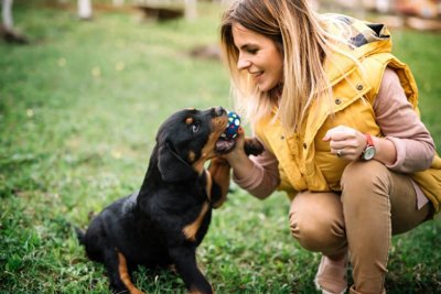 ​这4种护卫犬，堪称最勇猛的狗狗，罗威纳犬上榜