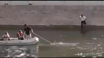 ​泪崩！湖北咸宁18岁少年溺水身亡，父亲悲痛欲绝跃入河中