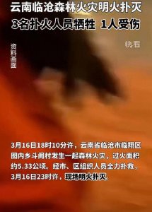 ​壮烈牺牲！云南临沧森林火灾导致3名消防员牺牲。评论区破防了。