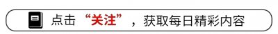 ​笑麻了！回国一年了大熊猫“香香”变胖也变壮了，评论区笑死我了