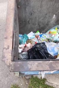 ​黑龙江七台河一垃圾桶里发现女婴，街道办：丢孩子的人找到了，刑警队已介入