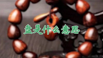 ​复盘是什么意思 盘踞是什么意思