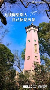 ​1月15日报名截止，崇明这些岗位正在招聘