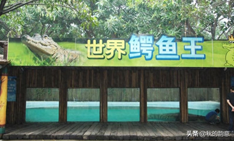 广州市长隆旅游度假区,占地面积 1万亩,门票价格 285-350元