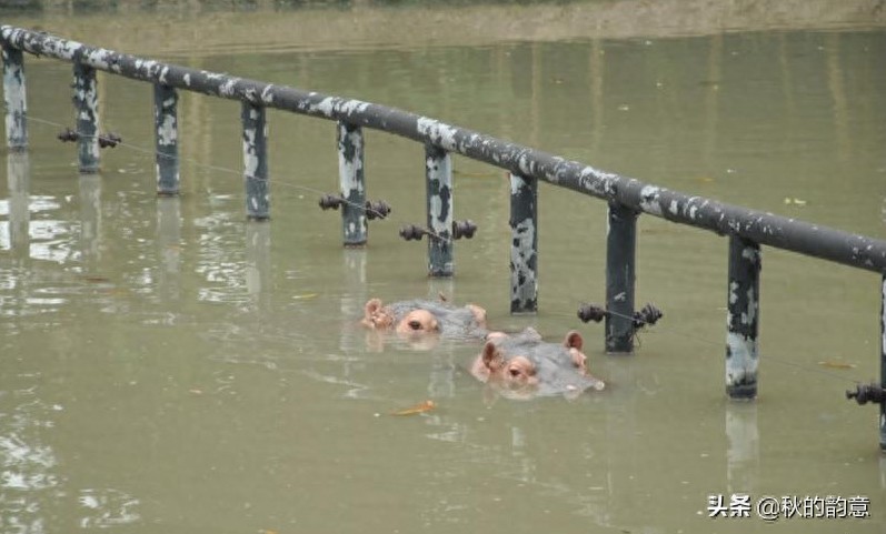 广州市长隆旅游度假区,占地面积 1万亩,门票价格 285-350元