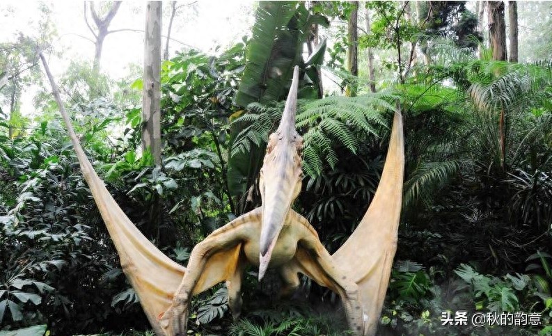 广州市长隆旅游度假区,占地面积 1万亩,门票价格 285-350元