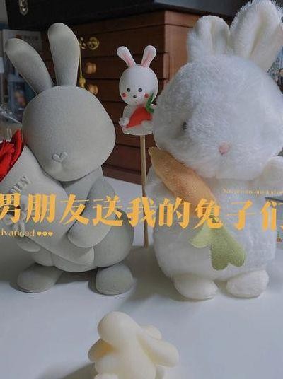 男朋友老是玩我的小兔子的简单介绍