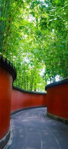 ​全面屏壁纸第七十四期：养眼美景壁纸合集