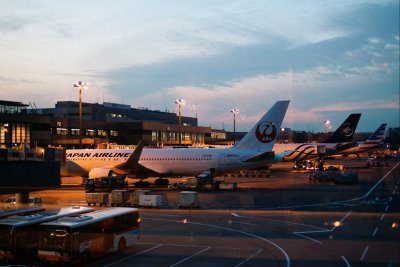 日本陶乐德国事件:男子称自己国家已存在1000年,根本没这个国家