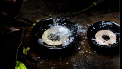 ​金装五粮液和普五区别