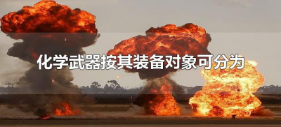 ​化学武器按其装备对象可分为什么（化学武器按其装备对象可分为哪几类）