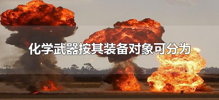 化学武器按其装备对象可分为