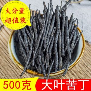 ​苦丁茶产地在哪里（苦丁茶介绍）