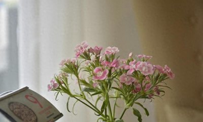 ​男人一生拥有几个女人才算没白活？听听三个过来人的看法