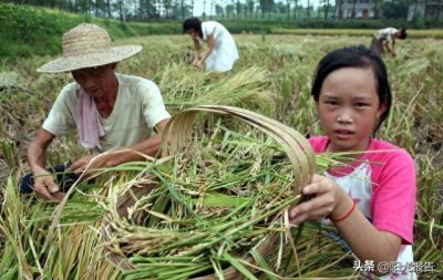 ​什么是三农？你了解三农多少？