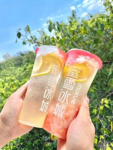 ​蜜雪冰城（官方）加盟：2024加盟费用标准及条件！附流程及扶持