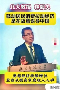 ​这才是专家！林毅夫：鼓动居民消费拉动经济增长是故意误导中国！