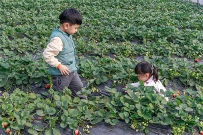 ​一位妈妈的带娃秘籍：让你成为带娃达人