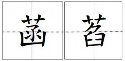 ​“菡萏”怎么读?什么意思?菡萏和荷花有什么区别？