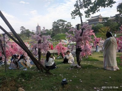 ​来洛阳市区必去的旅游地都有什么？